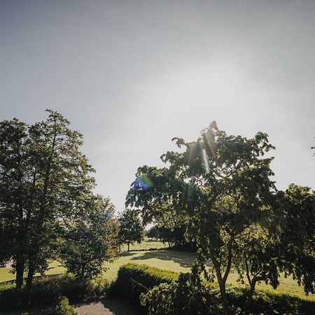 Ferienwohnung Weidenblick Varel Eksteriør bilde